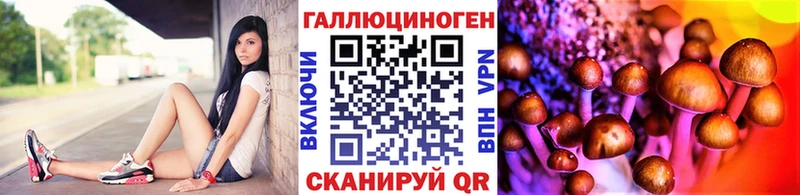 закладка  Курильск  Псилоцибиновые грибы мицелий 