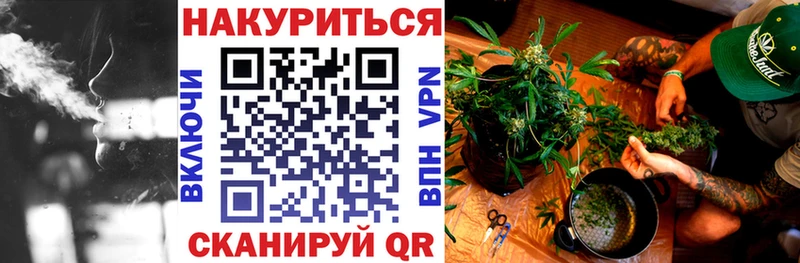 Шишки марихуана сатива  kraken вход  Курильск 
